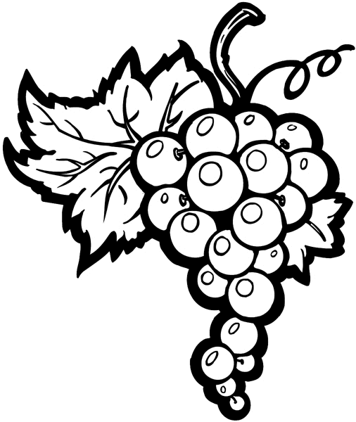 Bunch of grapes vinyl sticker. Customize on line. Fruit Vegetables 042-0161